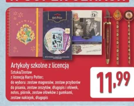 Zestaw magnesów z licencją Harry Potter +8 wariantów