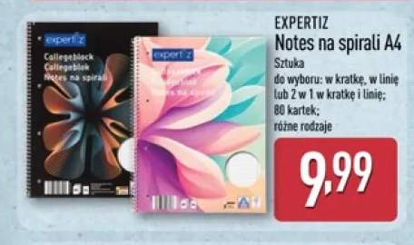 Notes na spirali A4 Expertiz w kratkę +2 warianty