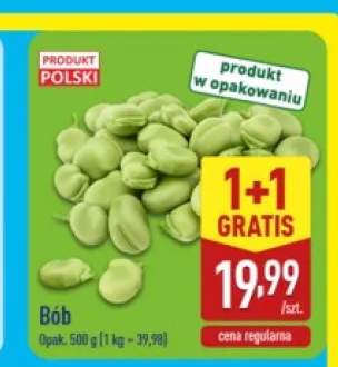 Bób
