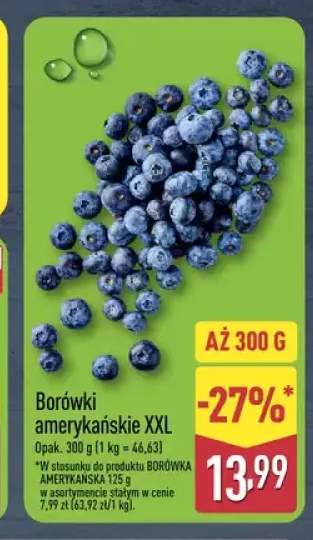 Borówki amerykańskie XXL