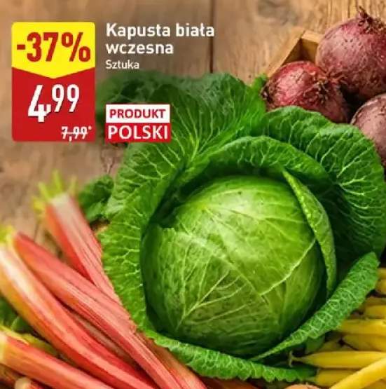 Kapusta biała wczesna polska