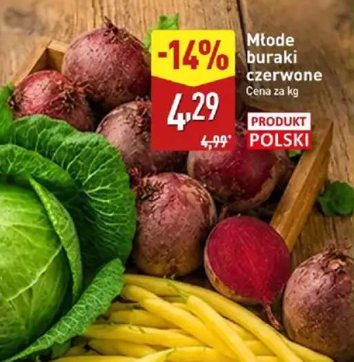 Buraki czerwone młode polskie
