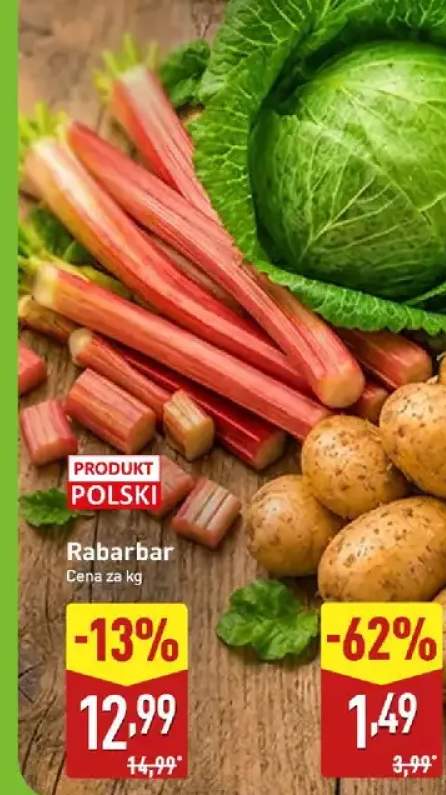 Rabarbar polski