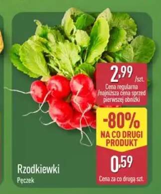 Rzodkiewki