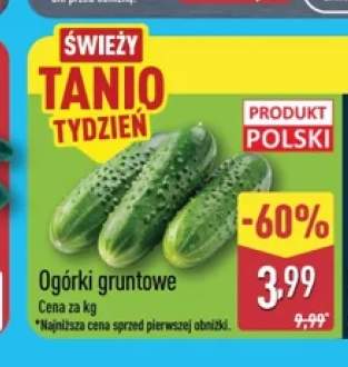 Ogórki gruntowe