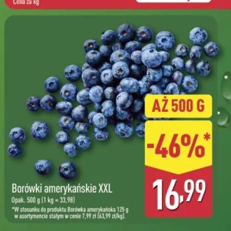 Borówki amerykańskie XXL