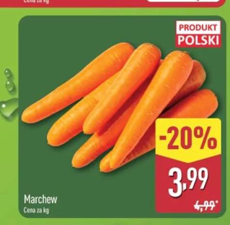 Marchew polska