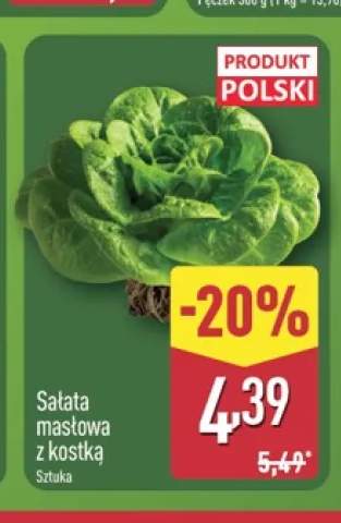 Sałata masłowa z kostką polska