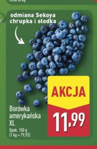 Borówka amerykańska XL