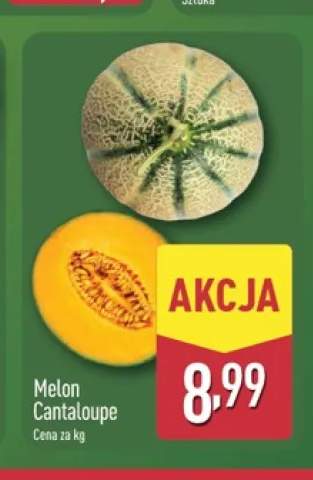 Melon Cantaloupe