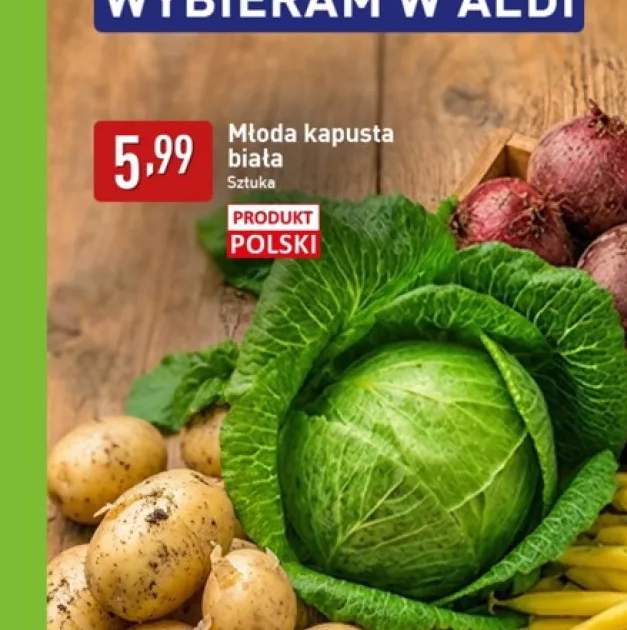 Kapusta biała młoda polska