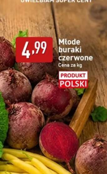 Buraki czerwone młode polskie