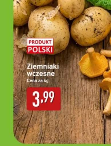 Ziemniaki wczesne polskie