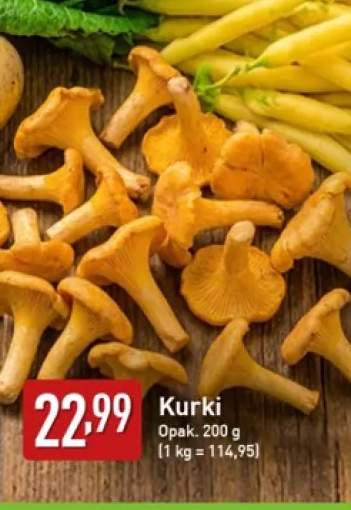 Kurki