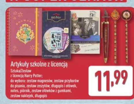 Artykuły szkolne z licencją Harry Potter zestaw magnesów +8 wariantów