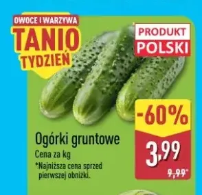 Ogórki gruntowe