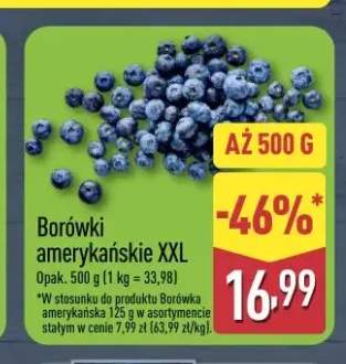 Borówki amerykańskie XXL