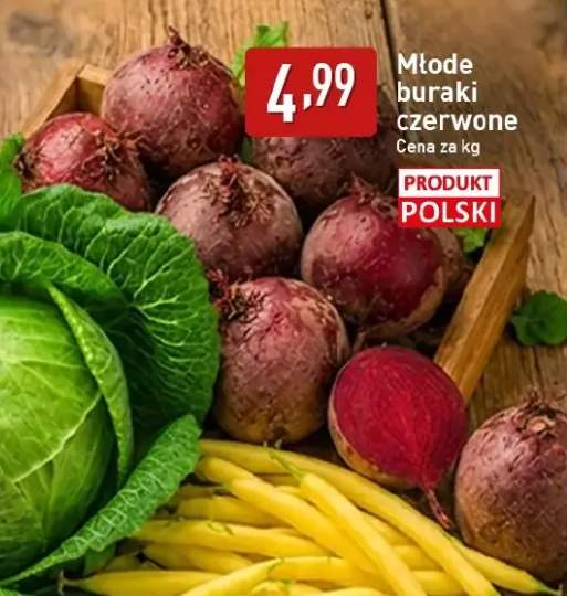Buraki czerwone młode polskie