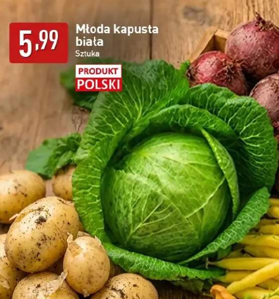 Kapusta biała młoda polska