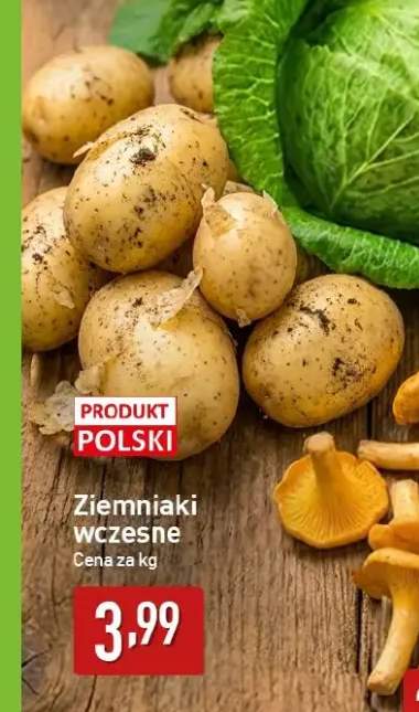 Ziemniaki wczesne polskie