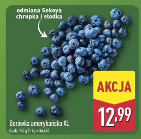 Borówka amerykańska XL