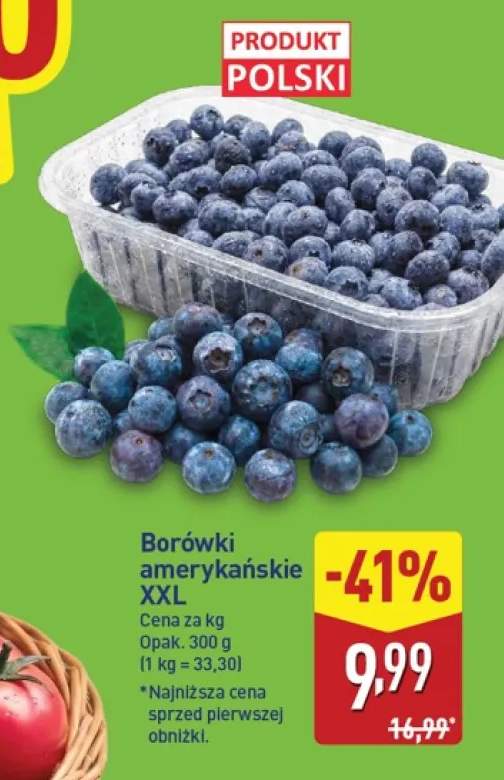 Borówki amerykańskie XXL
