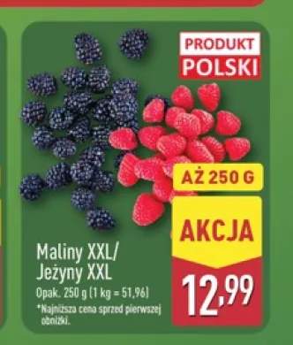 Jeżyny XXL +1 wariant