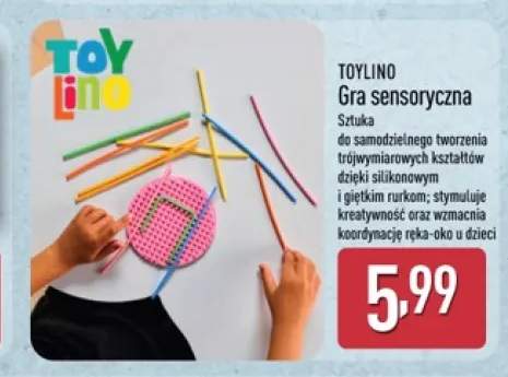 Gra sensoryczna TOYLINO