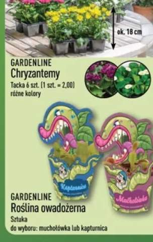Schab marynowany z mieszanką 4 pieprzy w plastrach Elpozo