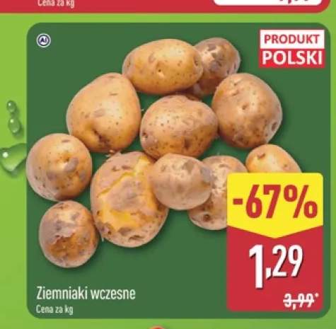 Ziemniaki wczesne polskie