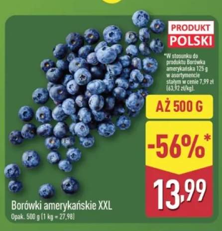 Borówki amerykańskie XXL