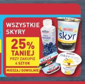 Skyry +2 warianty