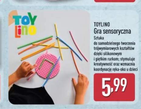 Gra sensoryczna Toylino