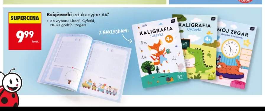 książka edukacyjna