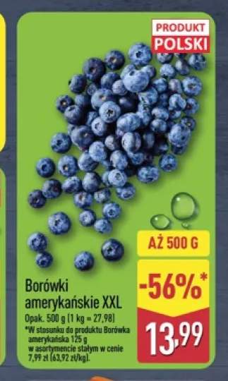 Borówki amerykańskie XXL