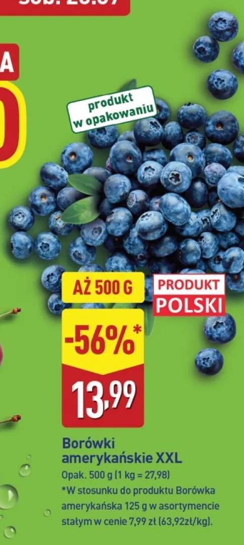 Borówki amerykańskie XXL polskie