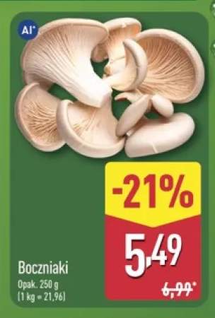 Boczniaki