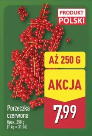 Porzeczka czerwona