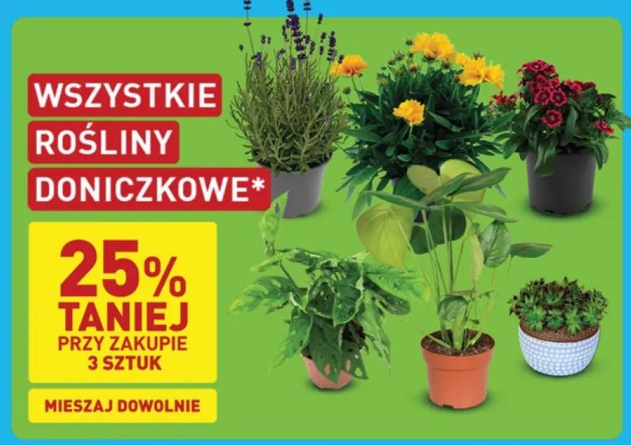 Rośliny doniczkowe