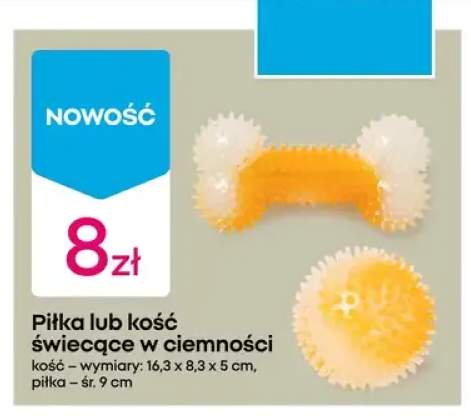 zabawka dla psa