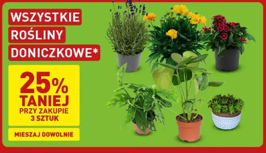 Rośliny doniczkowe