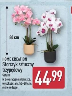 Storczyk sztuczny trzypędowy Home Creation