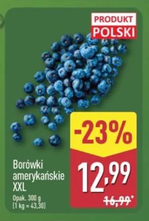 Borówki amerykańskie XXL