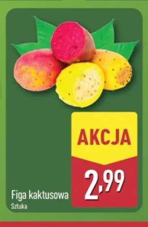 Figa kaktusowa