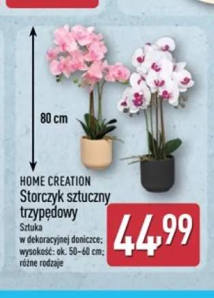 Storczyk sztuczny trzypędowy Home Creation