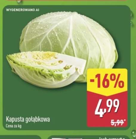 Kapusta gołąbkowa