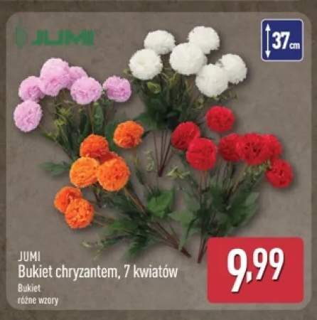 Bukiet chryzantem 7 kwiatów Jumi