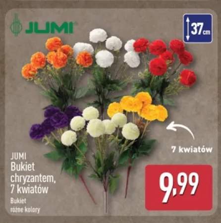 Bukiet chryzantem 7 kwiatów Jumi
