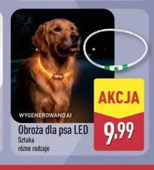Obroża dla psa LED