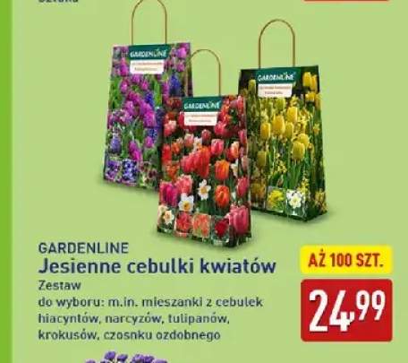 Jesienne cebulki kwiatów Gardenline